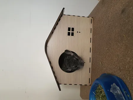 لانه پرنده مدل Vnm 889