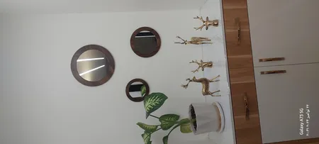 آینه  الف مدل  گرد دلسا کد 321 مجموعه 3 عددی