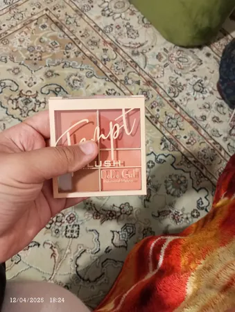 پالت رژ گونه دودوگرل مدل parlac شماره 033