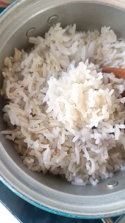 برنج قهوه ای رژیمی گیلان - 5 کیلوگرم