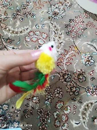 اسباب بازی گربه مدل mouse