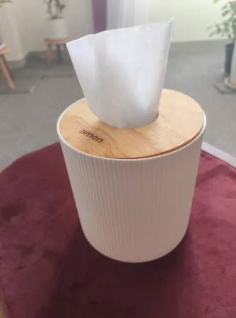 جای دستمال کاغذی لیمون مدل استوانه کد DH2370