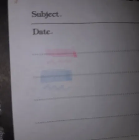 ماژیک علامت گذار زبرا مدل Mildliner