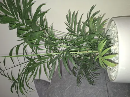 گل طبیعی شامادورا تافکو کد 2028