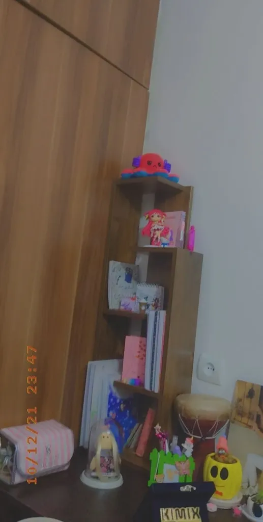 کتابخانه مومیت دکور مدل آذین