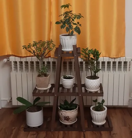 استند گل و گلدان مدل classic 02