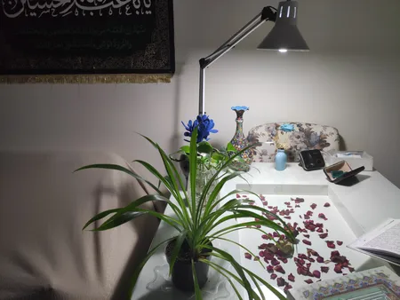 چراغ مطالعه صنایع کریم زاده مدل EN-101 همراه با لامپ ال ای دی 9 وات