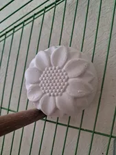 تجریه خرید سنگ کلسیم پرنده زوریچ کد 0112 وزن 80 گرم