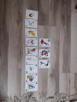 بازی فکری هوپا مدل نیکیماک