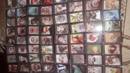 بازی فکری زینگو مدل سلفی گراف