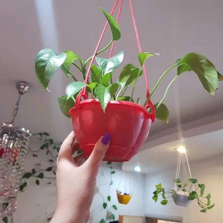 گلدان گل آذین مدل پلاستیکی آویز کد 315