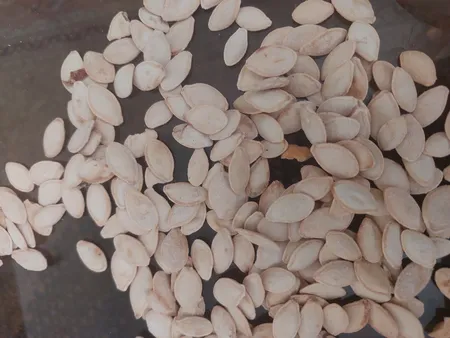 تخمه کدو گوشتی چاپار مقدار 400 گرم