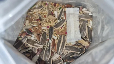 غذای پرندگان تاپ فید مدل طوطی گرینچیک و کواکر کد 01Nuts وزن 750 گرم