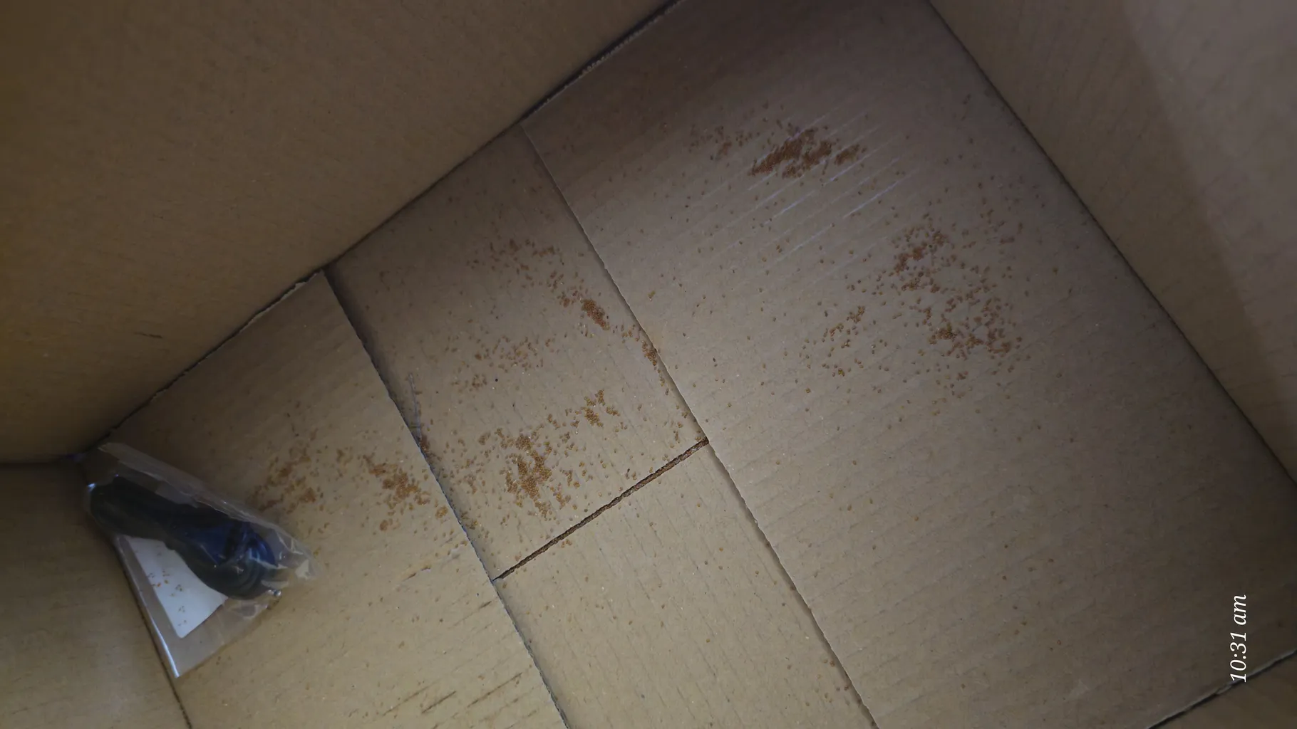 خاکشیر زرین برکت - 500 گرم