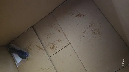 خاکشیر زرین برکت - 500 گرم