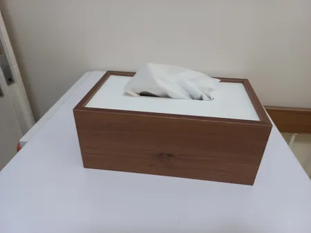 جعبه دستمال کاغذی رایکا مدل AT1035