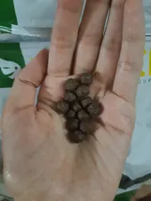 تجریه خرید غذای خشک سگ مفید مدل PUPPY Mini Junior BM وزن 2000 گرم