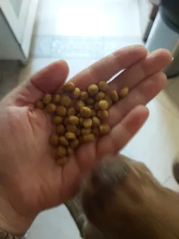 غذای خشک سگ سلبن مدل 1012 Small Junior وزن 2 کیلوگرم