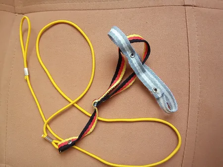 جلیقه پرواز طوطی سانان آواتور مدل عروس هلندی کد ۱۲۳