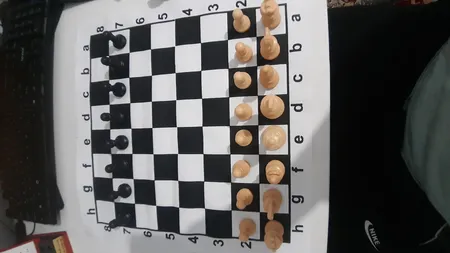 شطرنج مدل فدراسیونی کد New991410441