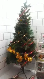 ریسه 10متری ال ای دی روژ کد GP019