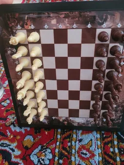 شطرنج آماندا مدل شوالیه