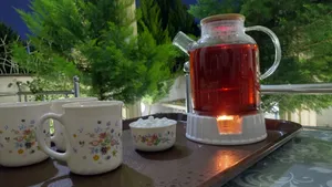 تجریه خرید قوری دلی مدل پیرکس کد GPH25