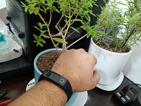 بند رینیکا مدل Ho مناسب برای مچ بند هوشمند آنر band 4 / 5