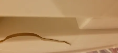 ست سطل و زمین شوی رزگلد کد 8155