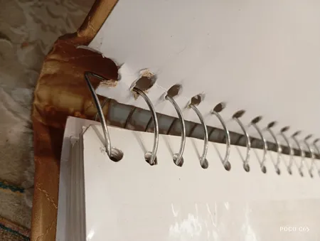 آلبوم عکس مدل A202531