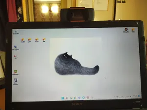 تجریه خرید وب کم مدل x11