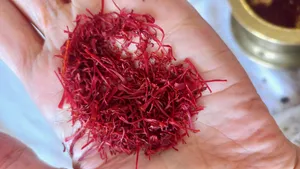 تجریه خرید زعفران ممتاز قائنات -4.608 گرم