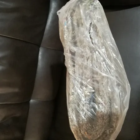 عایق خودرو مدل L1