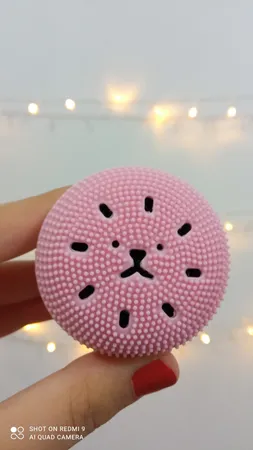 برس پاک‌سازی مدل B 0101