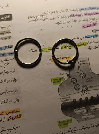 حلقه کلاسور مدل باز شو کد D30 بسته 6 عددی