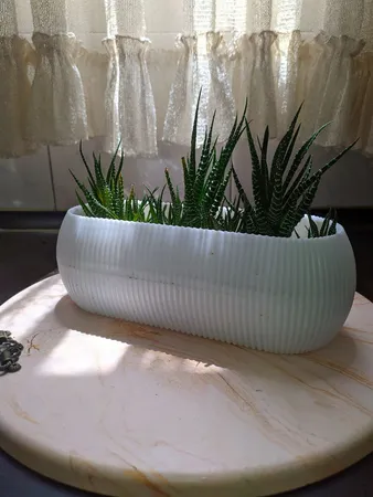 گلدان مدل کاکتوسی قایقی