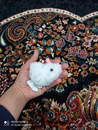 عروسک کوکی دنیای سرگرمی های کمیاب مدل dsk1976