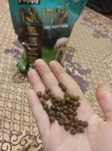 تجریه خرید غذای خشک توله سگ نوتری پت مدل Puppy وزن 2 کیلوگرم