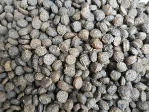 تجریه خرید غذای خشک گربه نوتری پت مدل Adult MODIFIED FORMULA وزن 2 کیلوگرم