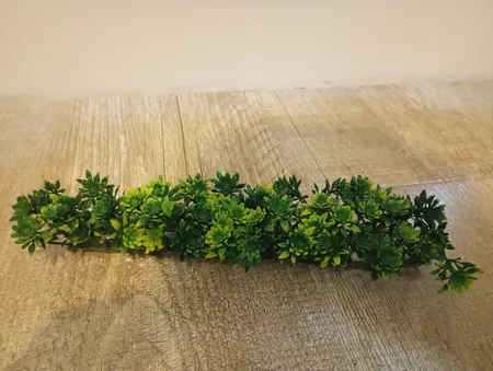 گیاه تزیینی آکواریوم مدل چمن خطی مونت کارلو