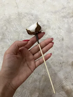 گل خشک مدل شاخه پنبه بسته ی 5 عددی