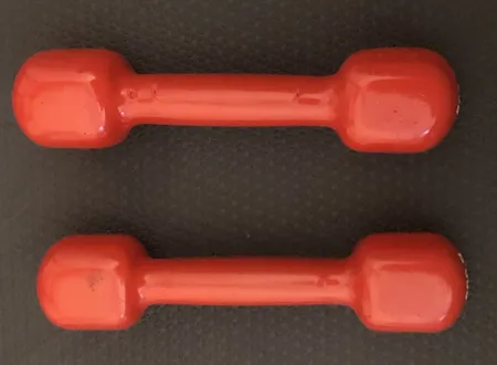 دمبل ایروبیک 0.5 کیلوگرمی بسته دو عددی