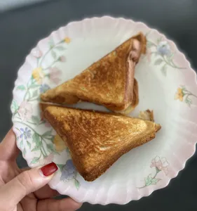 تجریه خرید ساندویچ ساز پارس خزر مدل SM-850P