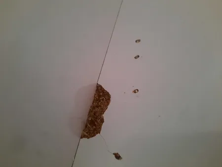 تخت خواب تک نفره مدل باکس دار شاهد سایز 90×200 سانتی متر