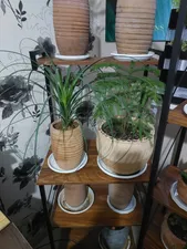 تجریه خرید ویترین دیزم مدل HS_F100_60_BRN