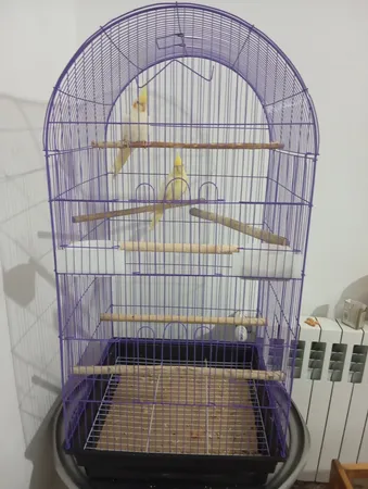 قفس عروس هلندی مدل 1034