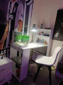 تجریه خرید میز تحریر مدل mor-1006