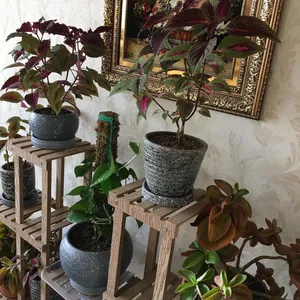 تجریه خرید استند گل و گلدان مدل gol5