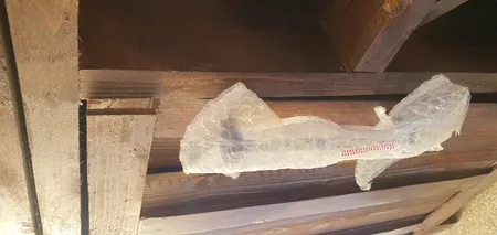 کنسول مدل Root