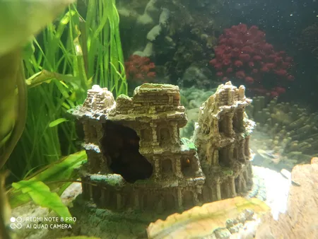 قلعه تزیینی آکواریوم کد RW178